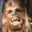 Chewbacca_alive