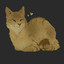 TouchMyCatPlz