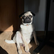 ✪ jorgue - steam id 76561198170764615