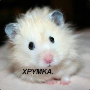 Xpymka