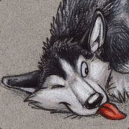 Skalli der Wolf