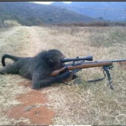 shaulin matador de porco