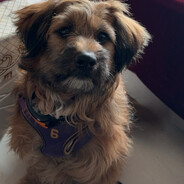 终不似少年游💕