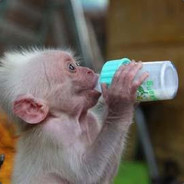 milkmonkey - steam id 76561197970981786