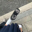 桑稚