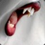 VampyrBytes