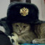 CatInTheUshanka