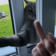 我丢我什么时候暴富