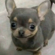 [KTR] 死ぬまで戦う意欲