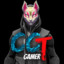 CCTGamer