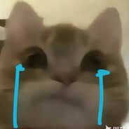 泪水打湿麦当劳🍔🍟