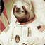 Slothstronaut Swag