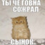 Сынок