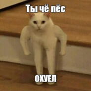 Ти че пес охуїв