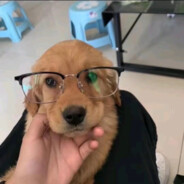 ￴ ￴￴ ￴￴ ￴￴ ￴