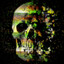 mr.skull