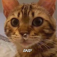 はいデュ - steam id 76561198989844919