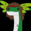 Daweed
