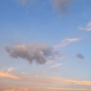 去给你买个橘子