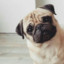 Egor_O_O