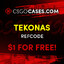 Tekonas CS2-CASES.COM