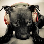 你老公叫智哥吗