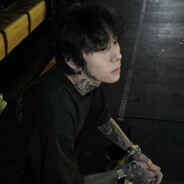 不爱吃鱼的蠢蛋