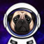 space dog