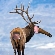 ELK &gt; MLK