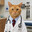 Dr. BGK