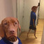 dOGGYDOGWORLD