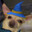 bob the wizard