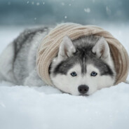 青春没有售价快乐只在当下