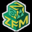 ZFM12