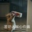 我是党员我先跳