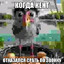 Avatar of player Потные яйца