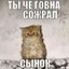 Тру Фимозик