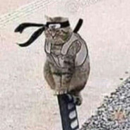 SHAOLIN MATADOR DE PORCO