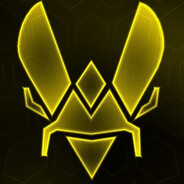 Team Vitality Apex本人