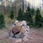 Котлета