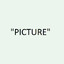 &quot;PICTURE&quot;