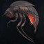 Stalker Beetle