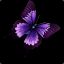 butterfly486