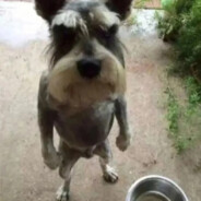 猛扇赵四那张臭嘴