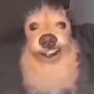 quverd's avatar