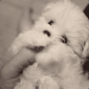 发牌员请让我回士兵