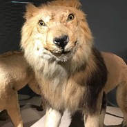 八点排便九点起