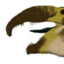 dino_dude69