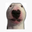 manieldoon