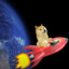 $DOGE TO THE MOON